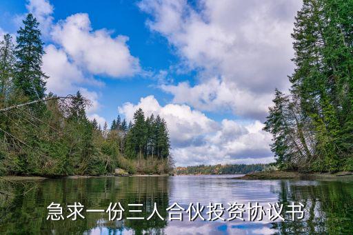 急求一份三人合伙投資協(xié)議書