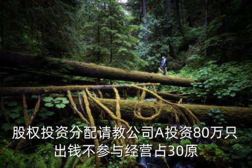 股權(quán)投資分配請教公司A投資80萬只出錢不參與經(jīng)營占30原