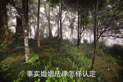 事實(shí)婚姻法律怎樣認(rèn)定