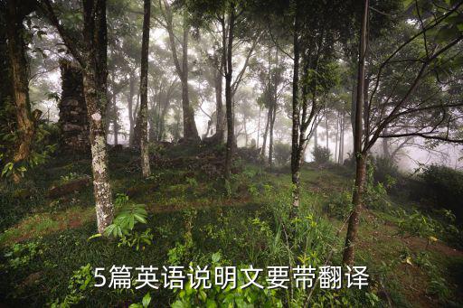英文版說明文，求一篇英語說明文