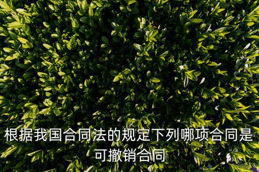 根據(jù)我國合同法的規(guī)定下列哪項(xiàng)合同是可撤銷合同