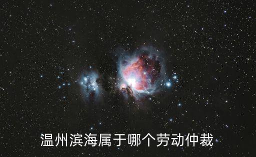 溫州 勞動(dòng)仲裁，溫州市甌海區(qū)南白象勞動(dòng)仲裁部門(mén)在哪里