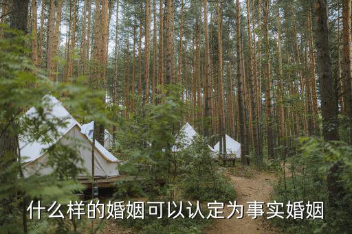 婚姻法對事實婚的認定，新婚姻法事實婚如何介定
