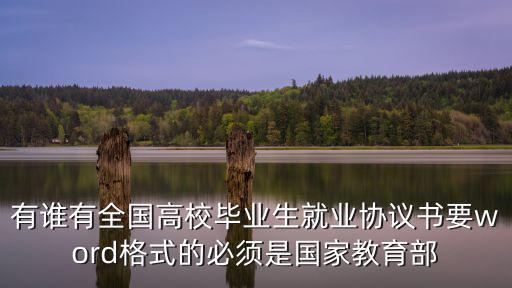 大學(xué)生就業(yè)協(xié)議書模板word，什么是一式四聯(lián)就業(yè)協(xié)議書