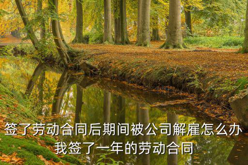 簽了勞動(dòng)合同后期間被公司解雇怎么辦我簽了一年的勞動(dòng)合同