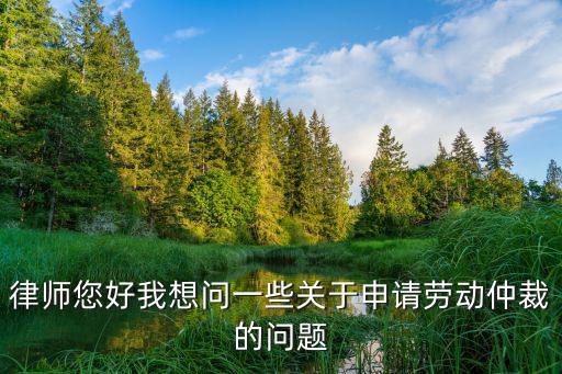 律師您好我想問一些關于申請勞動仲裁的問題