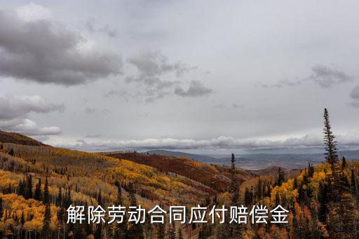 解除勞動(dòng)合同應(yīng)付賠償金