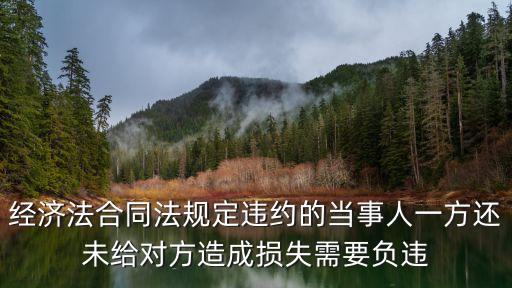 經(jīng)濟(jì)法合同法規(guī)定違約的當(dāng)事人一方還未給對方造成損失需要負(fù)違