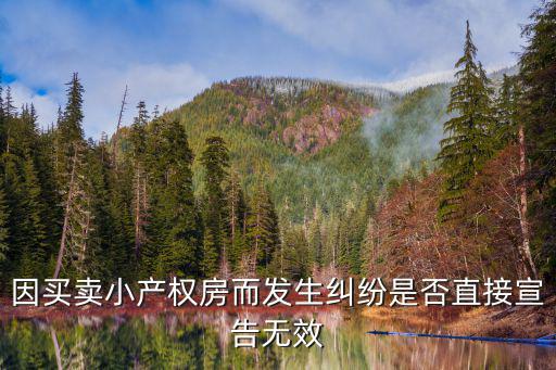 確認(rèn)合同無(wú)效糾紛案例小產(chǎn)權(quán)房，小產(chǎn)權(quán)房屋買(mǎi)賣(mài)合同被確認(rèn)無(wú)效后能雙倍返還定金嗎