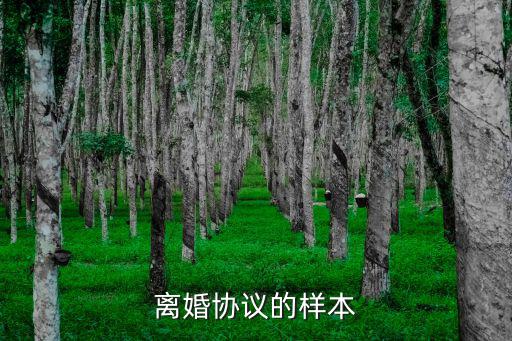 完整的離婚協(xié)議書，一份具體的離婚協(xié)議書