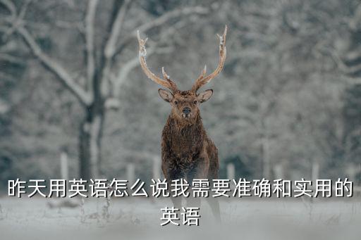 實(shí)用的可行的用英文怎么說(shuō)，實(shí)用的 用英語(yǔ)怎么寫