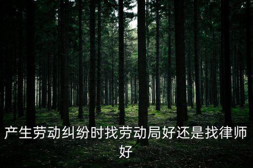 勞動仲裁咨詢律師還是hr，勞動仲裁要請律師么