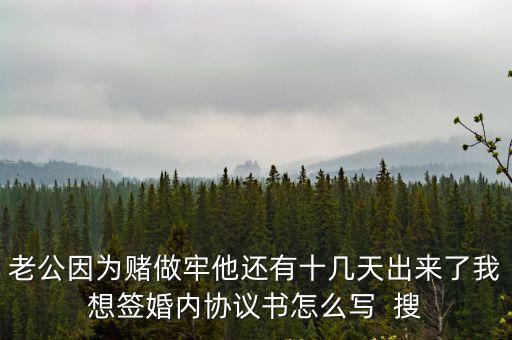 老公因?yàn)橘€做牢他還有十幾天出來了我想簽婚內(nèi)協(xié)議書怎么寫  搜