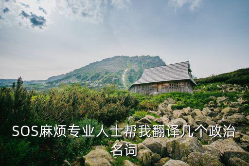 SOS麻煩專業(yè)人士幫我翻譯幾個政治名詞