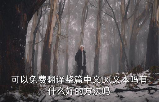 TXT文件翻譯，txt英文文檔怎么翻譯成中文