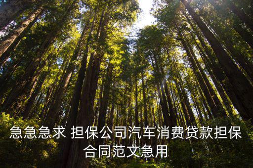 車貸擔(dān)保合同范本，買車進(jìn)行貸款擔(dān)保人負(fù)責(zé)付月供簽訂合同