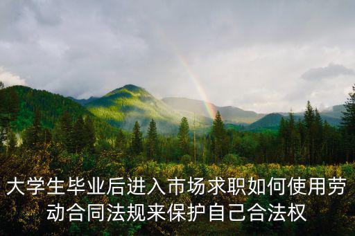 大學(xué)生畢業(yè)后進(jìn)入市場求職如何使用勞動合同法規(guī)來保護(hù)自己合法權(quán)