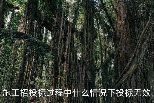 投標(biāo)無效情形，投標(biāo)文件出現(xiàn)哪些情形時(shí)在資格性符合性檢查時(shí)為無效投標(biāo)  搜