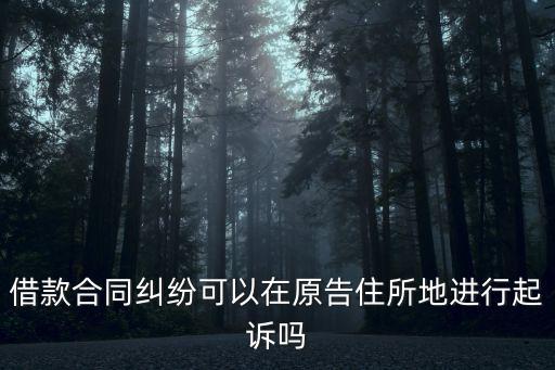 借款合同糾紛可以在原告住所地進(jìn)行起訴嗎