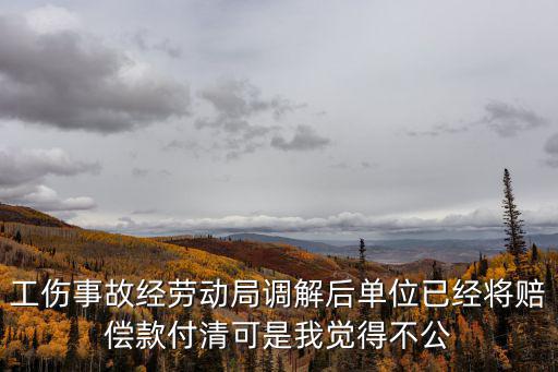 勞動(dòng)仲裁調(diào)解我后悔了，勞動(dòng)仲裁調(diào)解后有新證據(jù)反悔怎么辦