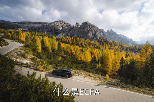 什么是ECFA