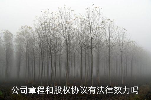 公司章程和股權(quán)協(xié)議有法律效力嗎