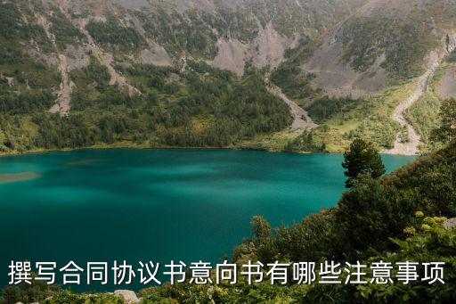 撰寫(xiě)合同協(xié)議書(shū)意向書(shū)有哪些注意事項(xiàng)