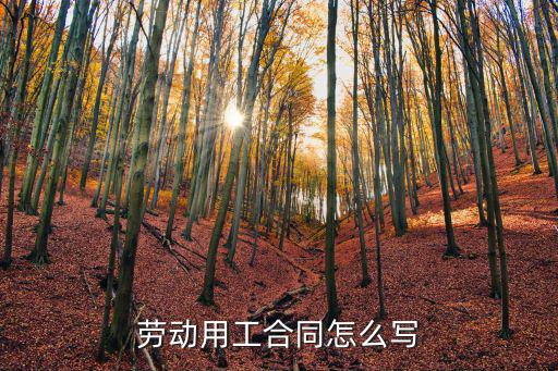 勞動(dòng)用工合同怎么寫