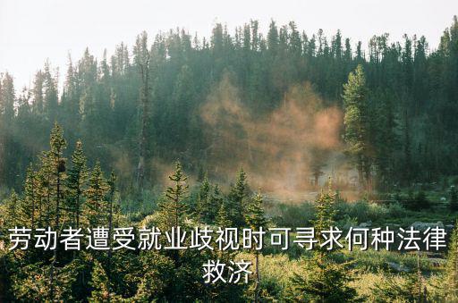 勞動者遭受就業(yè)歧視時可尋求何種法律救濟