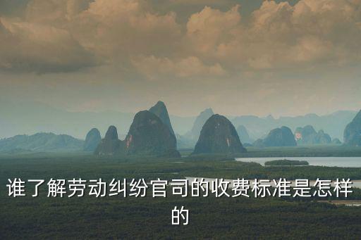 誰(shuí)了解勞動(dòng)糾紛官司的收費(fèi)標(biāo)準(zhǔn)是怎樣的