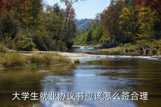 大四就業(yè)協(xié)議書，大學(xué)生就業(yè)協(xié)議書如何寫
