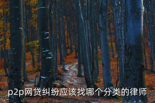 p2p網(wǎng)貸糾紛應(yīng)該找哪個(gè)分類的律師