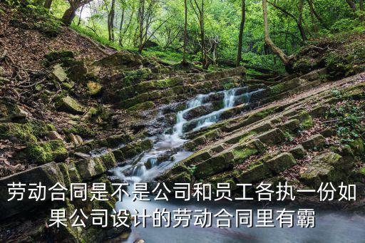勞動合同中的霸王條款，我在公司簽了勞動合同但是合同內(nèi)容有很多都是霸王條款我入職的