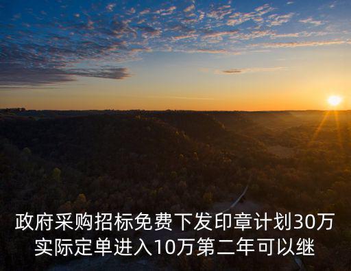 政府采購招標(biāo)免費(fèi)下發(fā)印章計(jì)劃30萬實(shí)際定單進(jìn)入10萬第二年可以繼