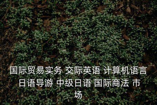 國際貿(mào)易實務(wù) 交際英語 計算機語言 日語導游 中級日語 國際商法 市場