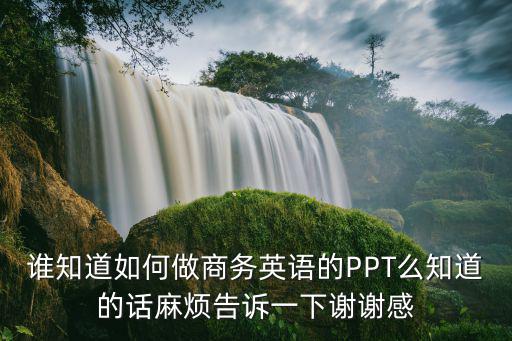 誰(shuí)知道如何做商務(wù)英語(yǔ)的PPT么知道的話麻煩告訴一下謝謝感