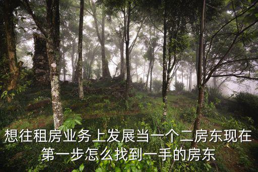 想往租房業(yè)務(wù)上發(fā)展當(dāng)一個(gè)二房東現(xiàn)在第一步怎么找到一手的房東