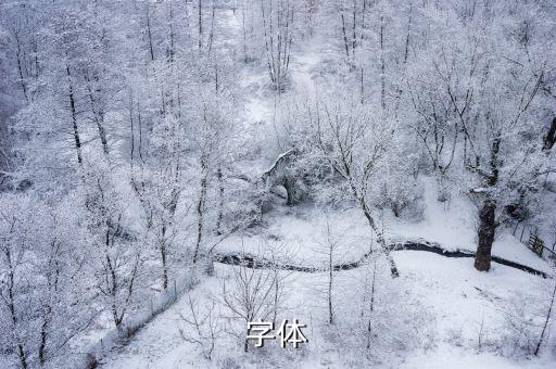 字體