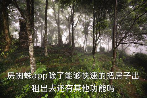 哪個(gè)軟件轉(zhuǎn)租房子最快，房蜘蛛app除了能夠快速的把房子出租出去還有其他功能嗎