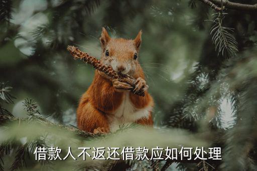 借款人不返還借款應(yīng)如何處理