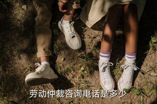 勞動(dòng)仲裁咨詢電話是多少