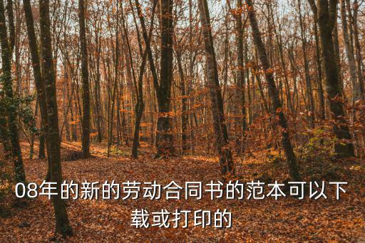 勞動(dòng)合同書(shū) 電子版模板免費(fèi)打印，08年的新的勞動(dòng)合同書(shū)的范本可以下載或打印的