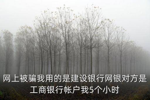 網(wǎng)上被騙我用的是建設(shè)銀行網(wǎng)銀對方是工商銀行帳戶我5個小時