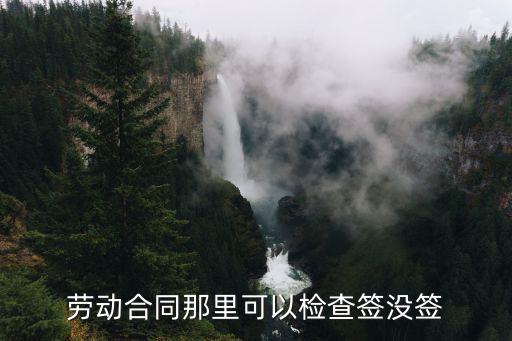 忘記簽沒簽勞動合同怎么查，勞動合同那里可以檢查簽沒簽