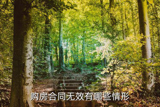 購房合同無效有哪些情形