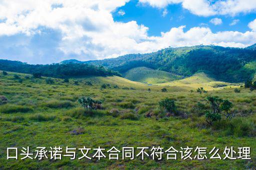 口頭承諾與文本合同不符合該怎么處理