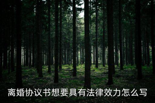 離婚協(xié)議書想要具有法律效力怎么寫