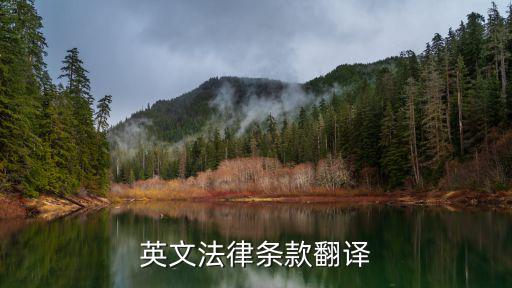 法律合同條款中英文，英文法律合同條款翻譯謝謝