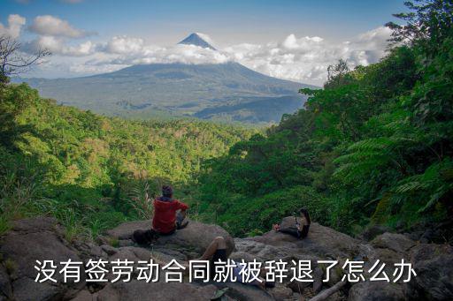 上班沒有簽合同被辭退怎么辦，無故開除員工沒有簽訂勞動合同勞動者怎么辦