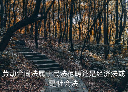 勞動合同屬于經(jīng)濟法嗎，勞動合同法屬于民法范疇還是經(jīng)濟法或是社會法